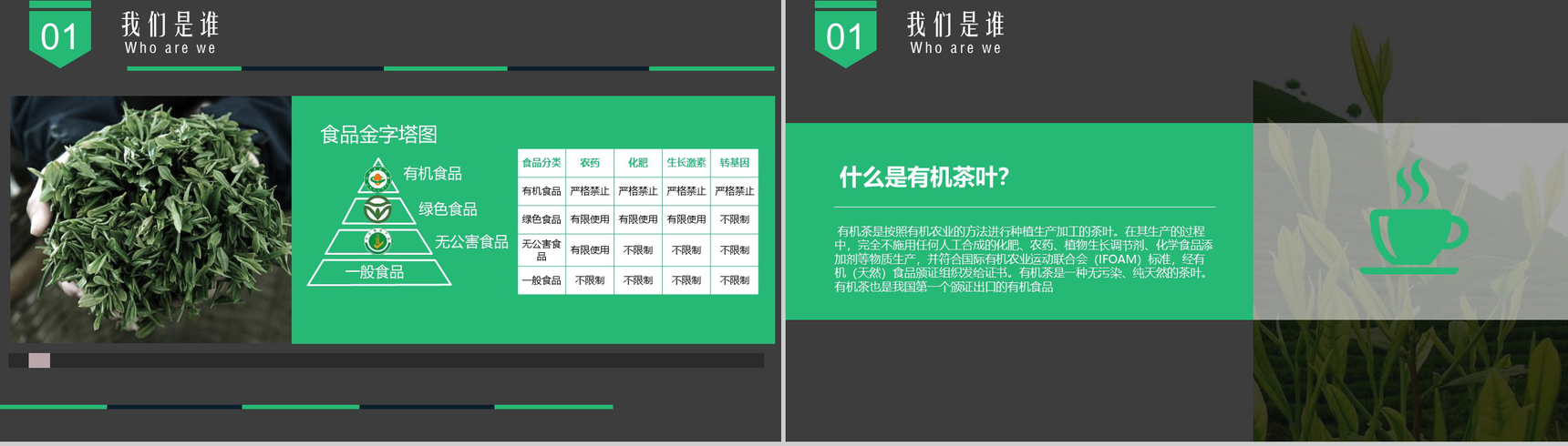 生物科技环保健康公司宣传PPT模板-3