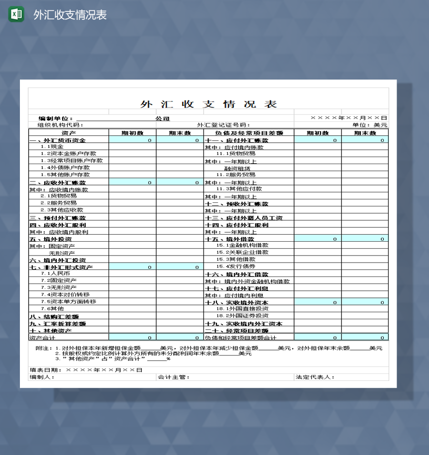 外汇收支情况表财务收支统计Excel模板