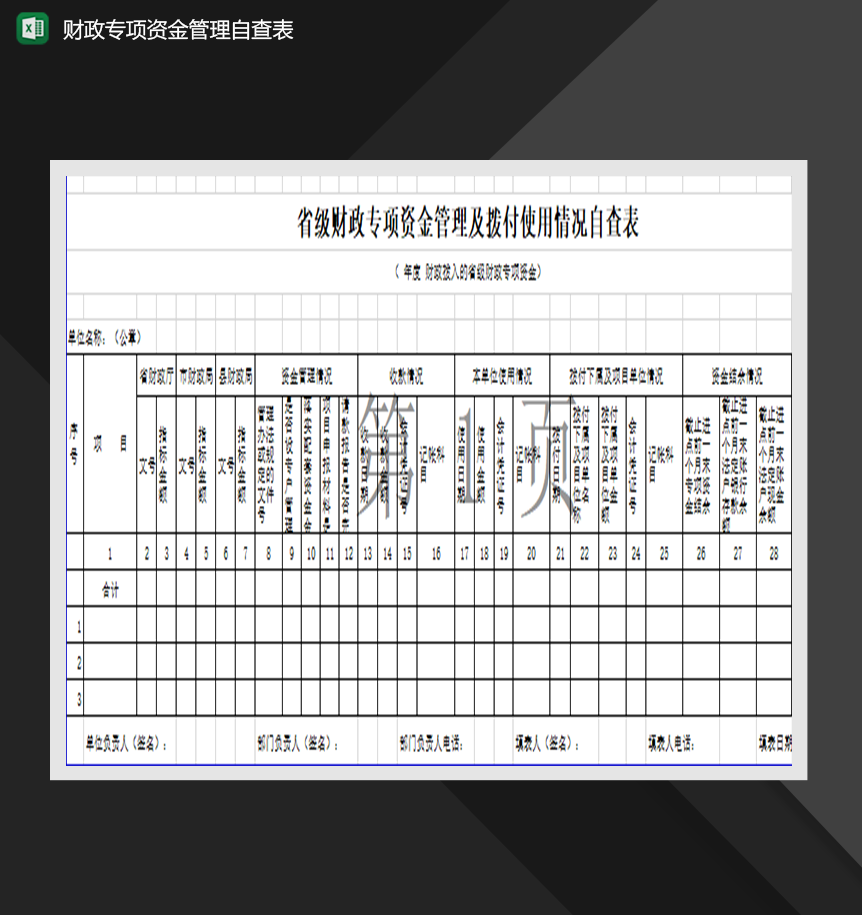 省级财政专项资金管理及拨付使用情况自查表Excel模板